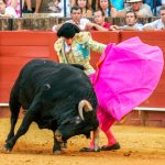 Mexico City Bullfighting Ban