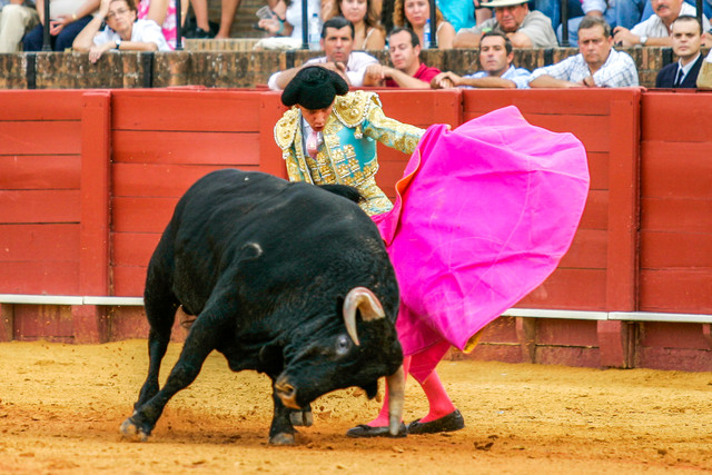 Mexico City Bullfighting Ban