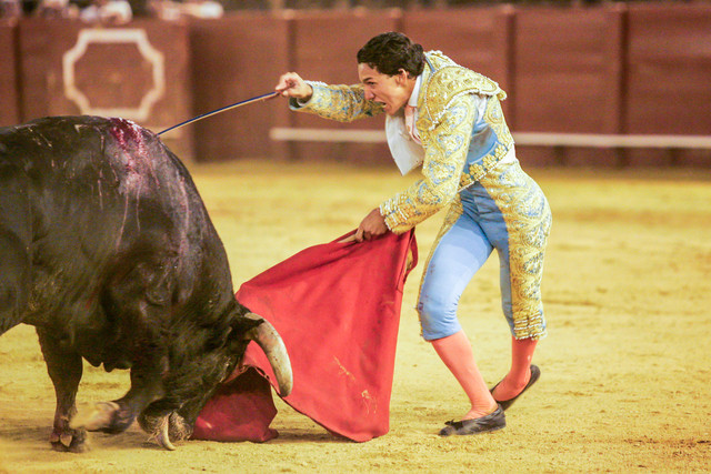 Mexico City Bullfighting Ban