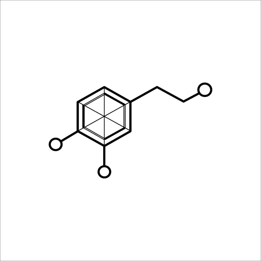 Dopamine Detox Myths