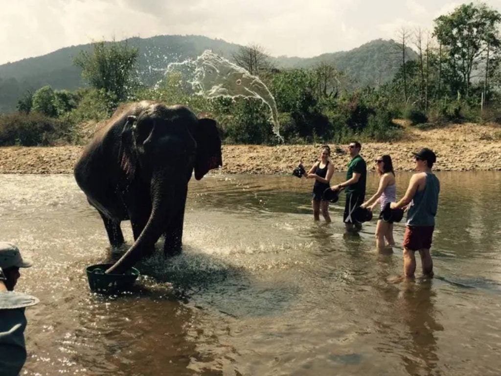 Water turns into an elephant/Real-life coincidences you won’t believe