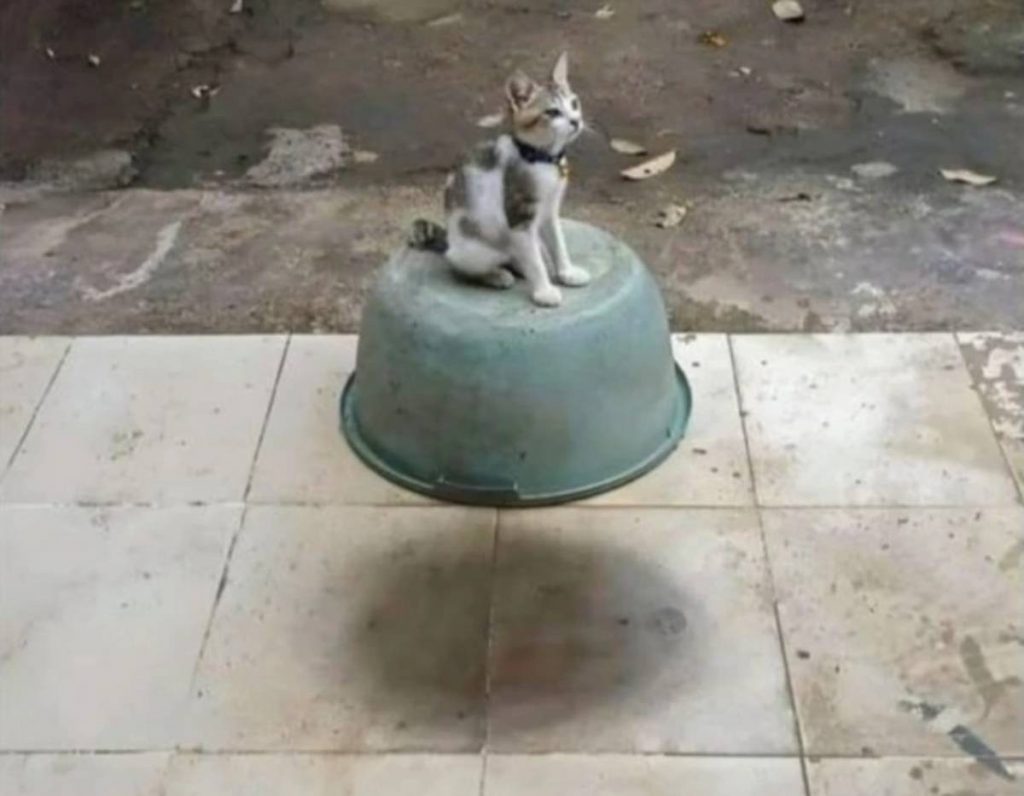 Defying gravity/Real-life coincidences you won’t believe