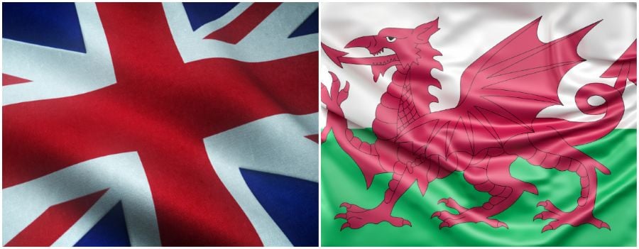 Abortion Decriminalization in England and Wales