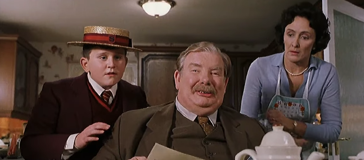 HBO Harry Potter Dursley Casting