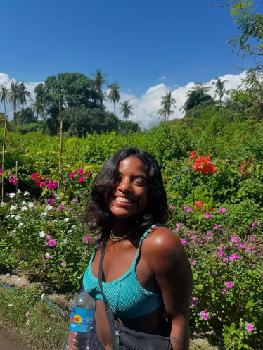 brazil tourist