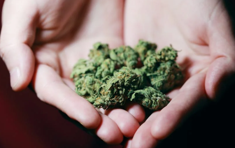 cannabis