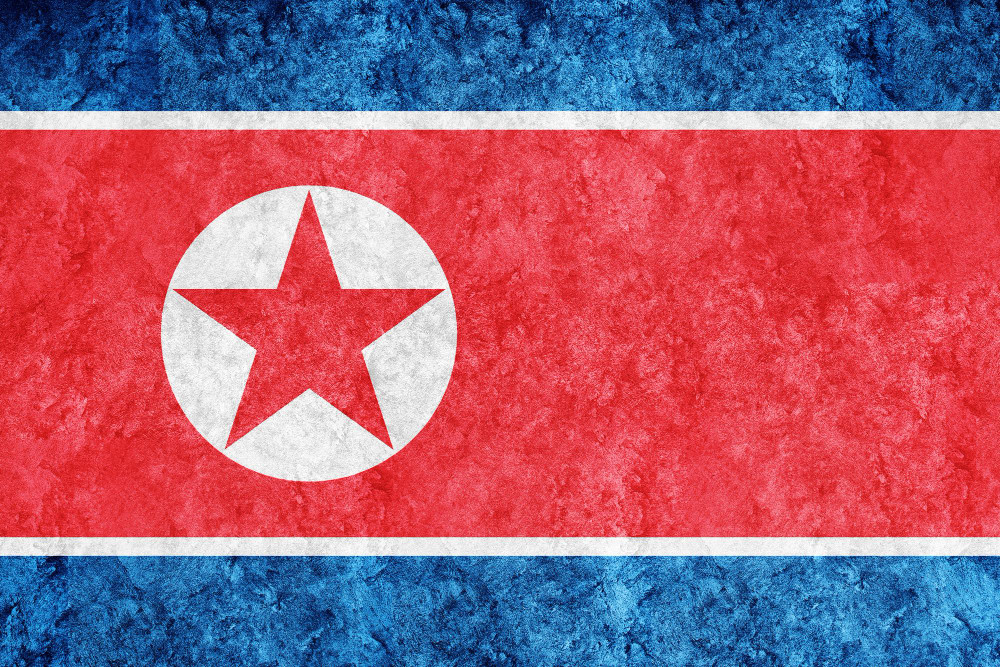 North Korean IT worker fraud