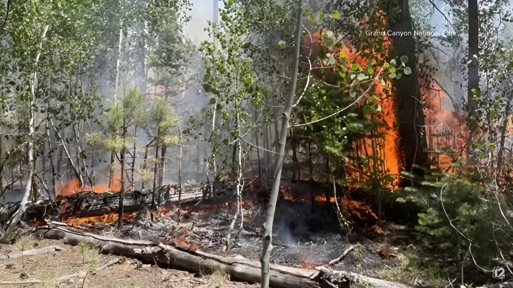 The fire began in the forested areas around the Grand Canyon