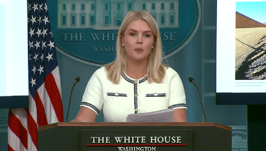 Chronic Venous Insufficiency