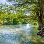 You might also want to read: