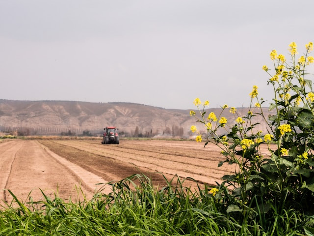 Greek EU farm subsidy fraud