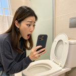 china toilet
