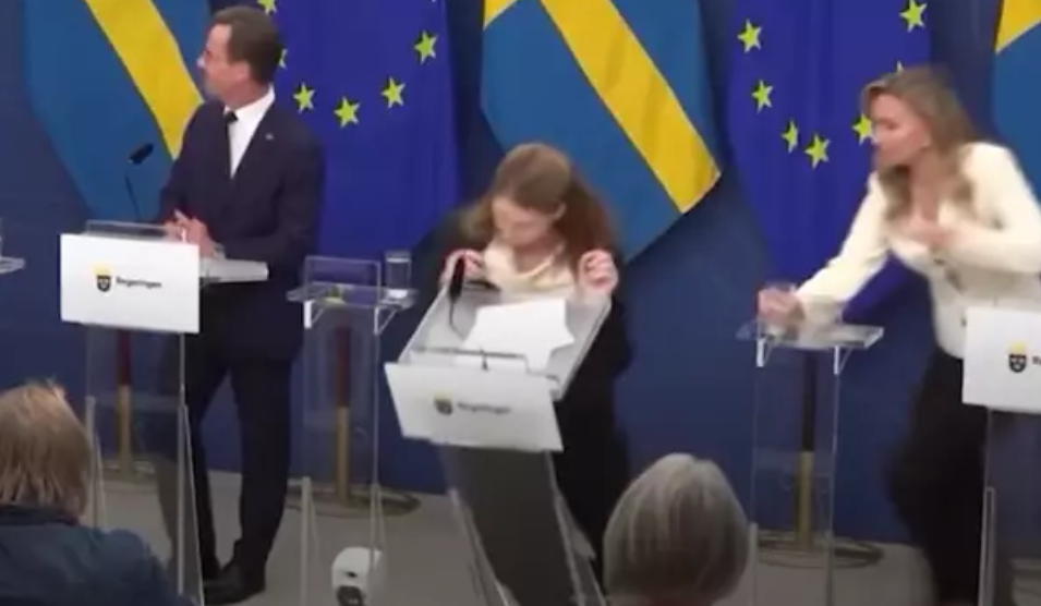 sweden minister