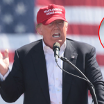 trump greta thunberg