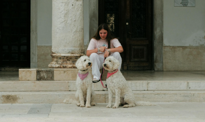 teen teenager dog dogs study